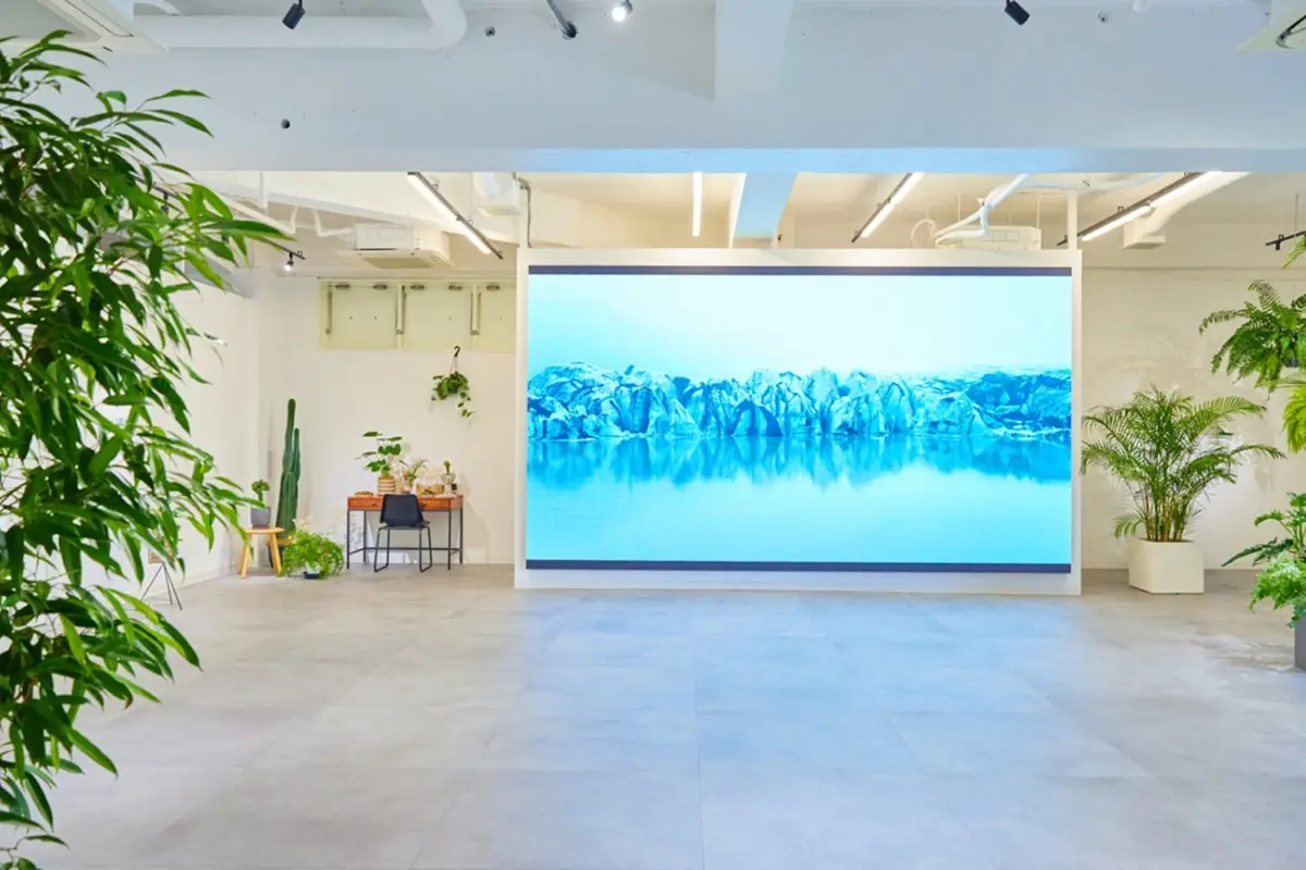 スタジオ体験学習